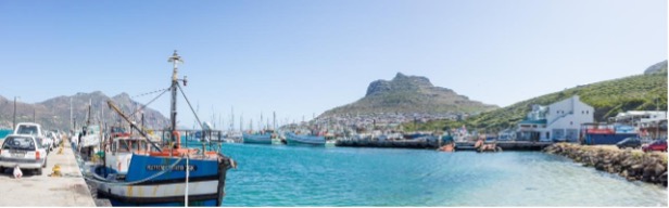 Hout Bay Harbour