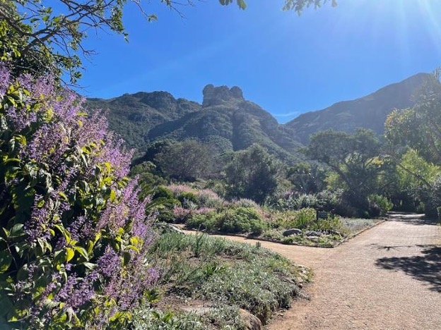 Kirstenbosch