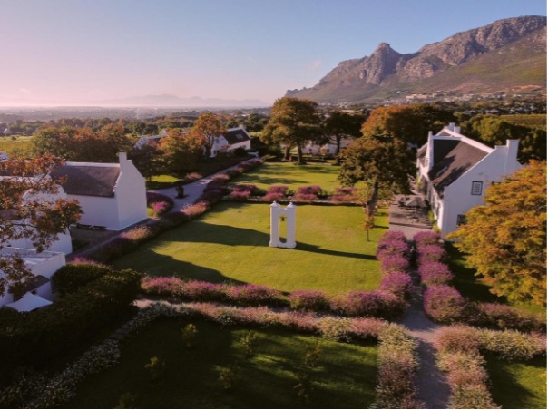 Constantia Wine Route