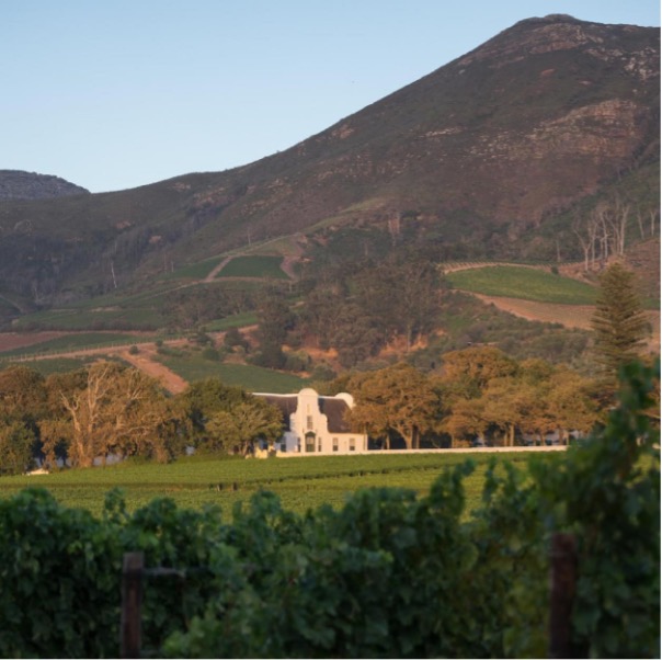 Groot Constantia