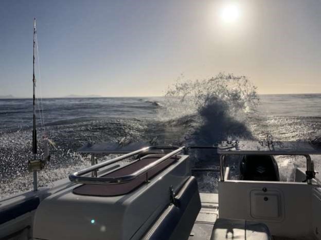 Cape Boat Charters