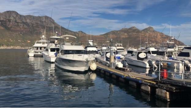 Deep Sea Fishing