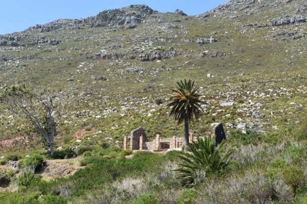 Tamlyn Wanderlust